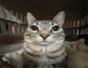 sigma.gif